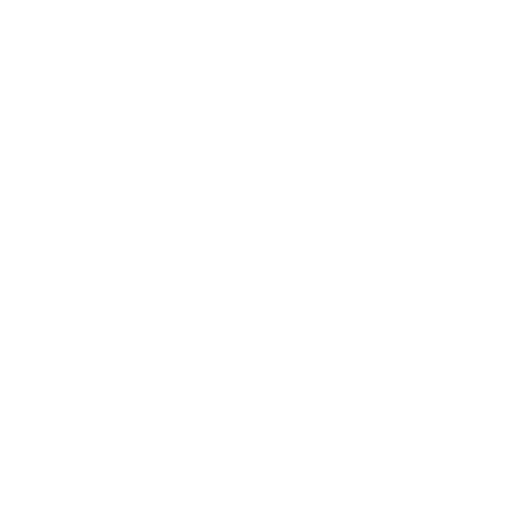 physiotherapists